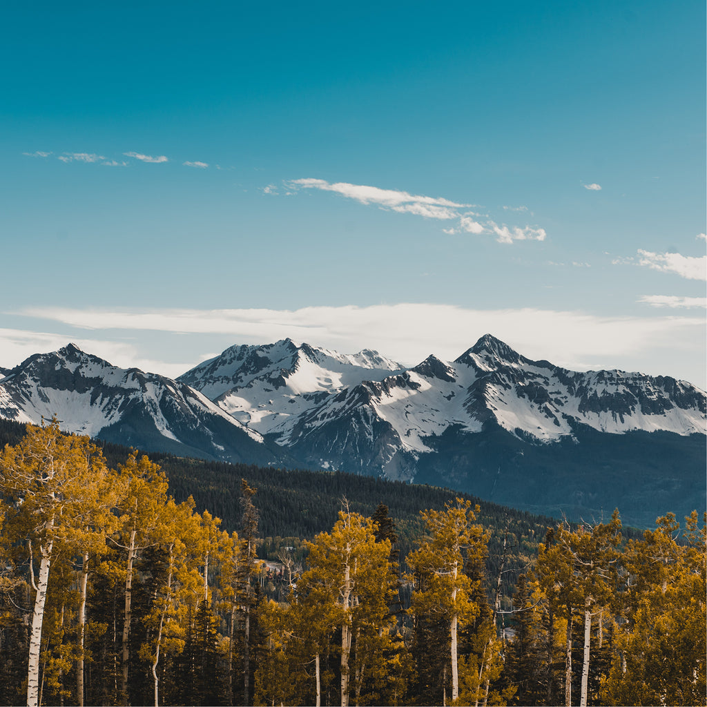 The Telluride, CO Travel Guide